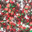 STRAWBERRY BON BON, Faux Mix, Polymer Clay Fake Sprinkles  jocad (Container: Approx. 3-5 Grams)